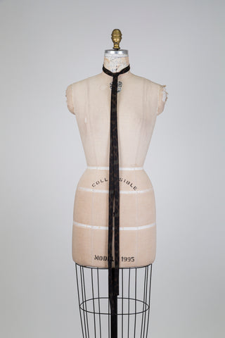 Bébé colonel léopard