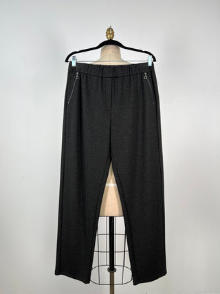 Washable anthracite jogger pants (XS and L)