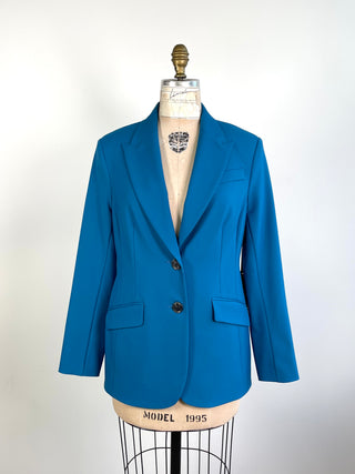 Blazer cintré bleu titan (10)